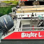 5 Person In * Bårdset